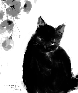moriu:  桂 加須良 - black cat.    