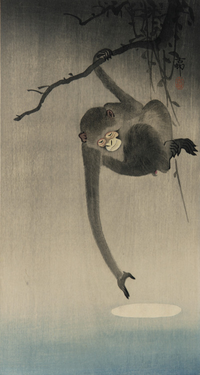 arsvitaest: Gibbon reaching for reflection of the moon Author: Ohara, Koson (Japanese, 1877-1945)Dat