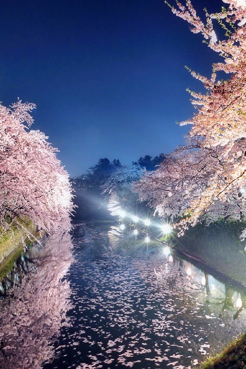 Fairy Tale