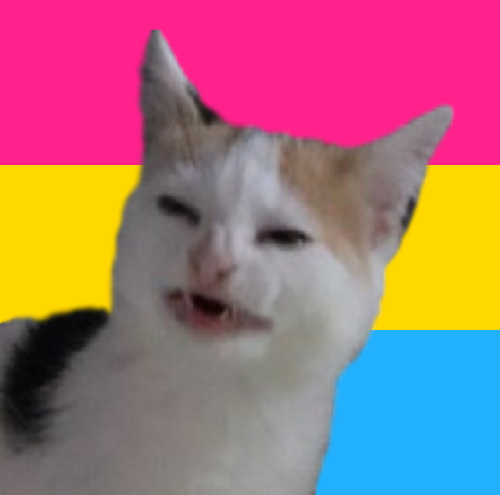 heckdan: pride icons for u and ur friends adult photos