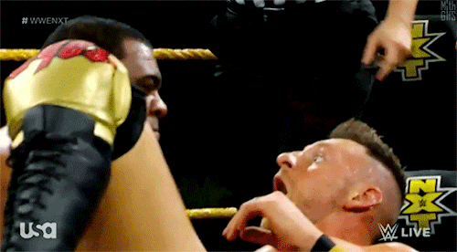 I Was A Little Surprised The Ring Didnt Collapse Under The Combined Weight Of Lee, Dijakovic, And Their
