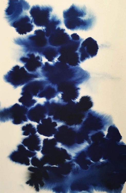 vjeranski:Lourdes Sanchez Blue Floral 6, 2015ink on silk, 21 x 14 inch image/30 x 22 inch paper