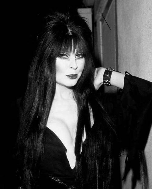 Elvira Mistress Of The Dark