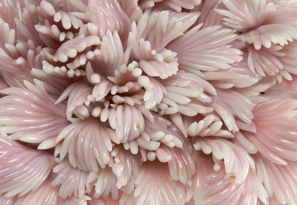 nevver:  Sculpture &amp; Glass, Amber Cowan 