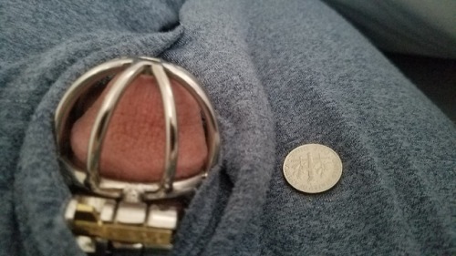 stephaniesugarplum:  Locked since September 25th. I can’t believe how small I’ve gotten since then. Small enough in a 1.75 inch cage that I can feel my clitty rattle back and forth inside it when I swish throughout the day.