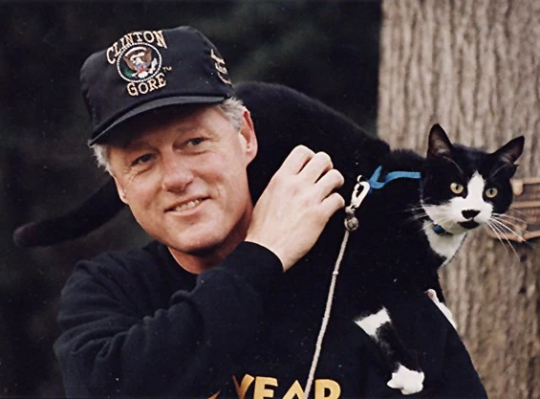 bedeliadumaurier:  noamchimpsky:  bedeliadumaurier:  i hope the clintons get a cat again when (god willing) hillary wins it’s been TOO long since there’s been a cat in the white house:      i    love    socks!!!  she did a good job: 