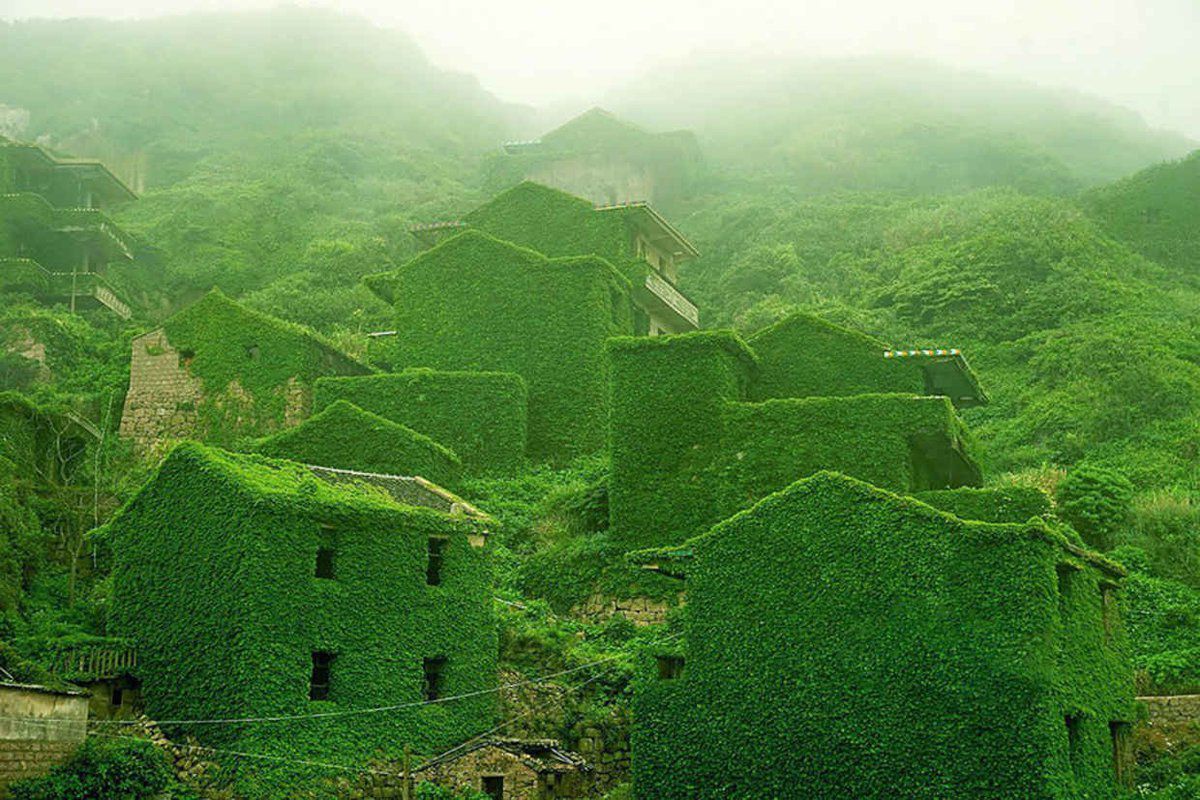 abandonedphotos:  Abandoned Chinese Fishing Village Being Swallowed By Nature. Photo
