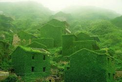 Abandonedphotos:  Abandoned Chinese Fishing Village Being Swallowed By Nature. Photo