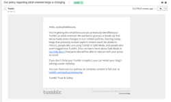 3mangos: ffuffle:   audiophilekitsune:      relevant link   Tumblr’s no longer making my blog public due to porn (meaning you can’t even see it if you’re not logged in after that date). And the same applies for everyone else who does NSFW stuff.