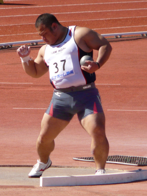 BEARSORMUSCLE