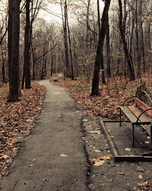 acciocleverusername:  sixpenceee: What are the best places to see foliage in the North East? Feel fr