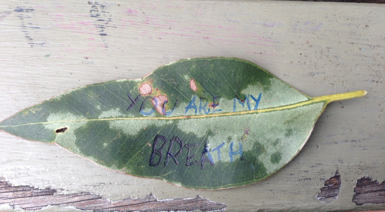 out-dividual:  my grams used to write notes on leaves for me, and leave them in her