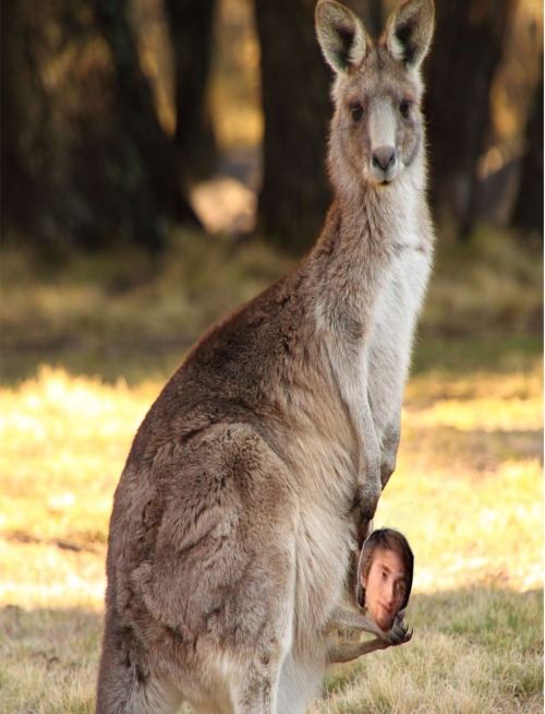 Sex cheese-is-evil:  I made some Gavin free in pictures