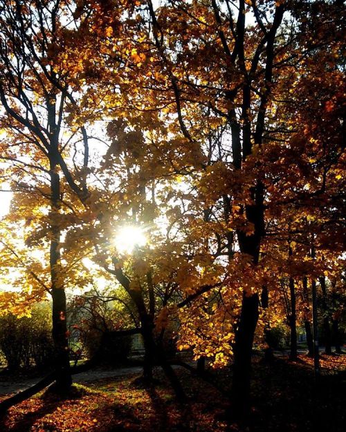 I see… the turning of a leaf dancing in an autumn sun, and brilliant shades of crimson glowin