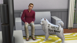 Idiotbabyjunior: The Sims 4 Released Their Version Of A Pets Expansion Today And