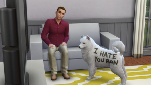 idiotbabyjunior:The Sims 4 released their version of a pets expansion today and you can send dogmail