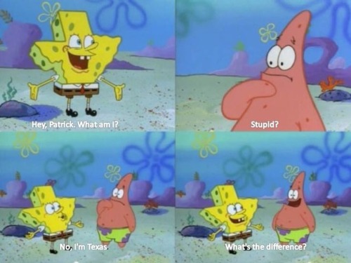 spongebob quote