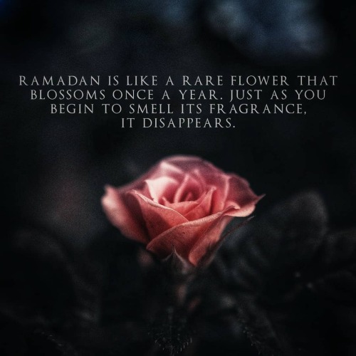 Make the most of this Ramadan while you still can In Shaa Allah!  #ramadan #flower #mercy&