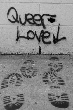 ▼ QUEER IS MORE ▼
