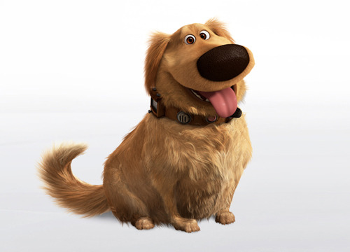 yellowpoet: faacethefacts:   yellowpoet: Everyone has heard of updog. People are aware of the joke and anticipate the confusion of the recipient. “hey, updog” “what’s updog?” But unbeknownst to them,  many people have seen updog. They have gazed