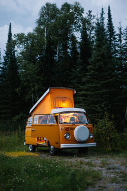 xshaydx:500 mosquitos, 1 dog, 2 friends, 1 van, 3800km’s. photo by @xshaydx