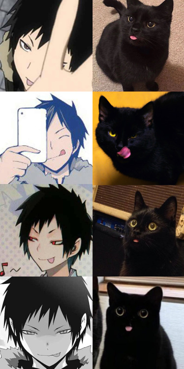 seiwajima:He do the blep. 