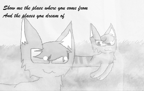 boybite:  eryn—lasgalen:  boybite:  my aesthetic: 2008 warrior cats amv’s    