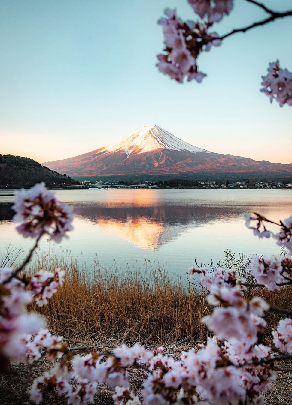 maureen2musings: Nothing beats coffee and Fuji in the morning ryanresatka 