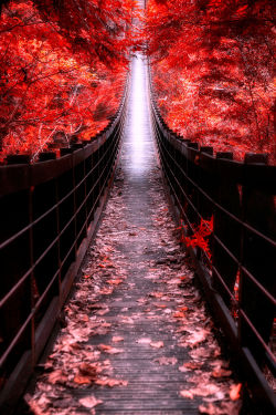 insatiablelondonlass-killydf2:  lori-rocks:  The bridge leading to the sky… by  hanson mao  …💋