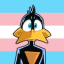 quantum-quack