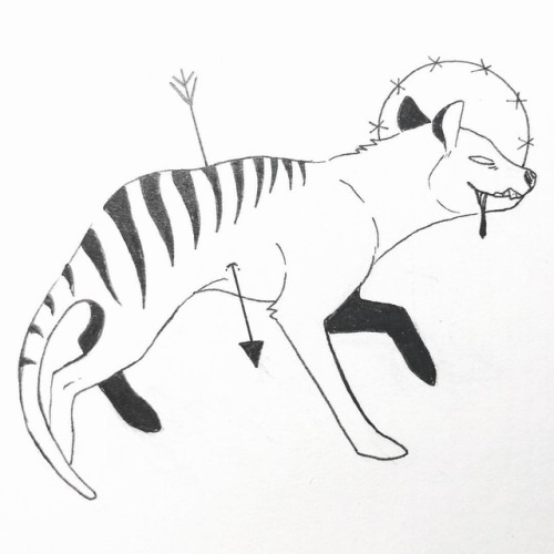 [ 07 - Undead ] Some recent “sightings” of Tasmanian tigers/Thylacines inspired this idea. The last 