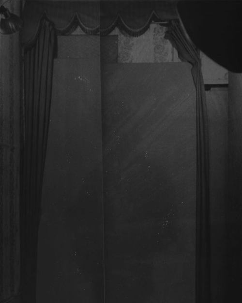 tenaciouschaosturtle-ad805251:DIRK BRAECKMAN
