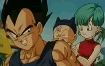 Favorite anime couple “Vegeta and Bulma - Dragon Ball Z” This is a hilarious relationship, don’t you think? Vegeta is full of pride, and yet, Bulma can still tame him haha