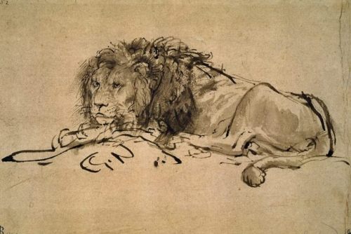 baroque-art-appreciation: Lion Resting via Rembrandt Van RijnMedium: ink, paper