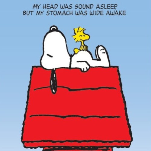 a-hungry-hippo: #Snoopy #Cute