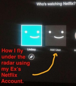 teenagerposts:  ultimatestudios:  teenagerposts:  absolutely genius  ok but why steal your ex’s netflix when you can buy your own  