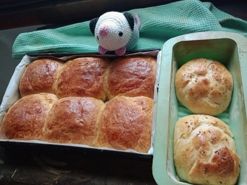 I MADE BREAD COME GET IT