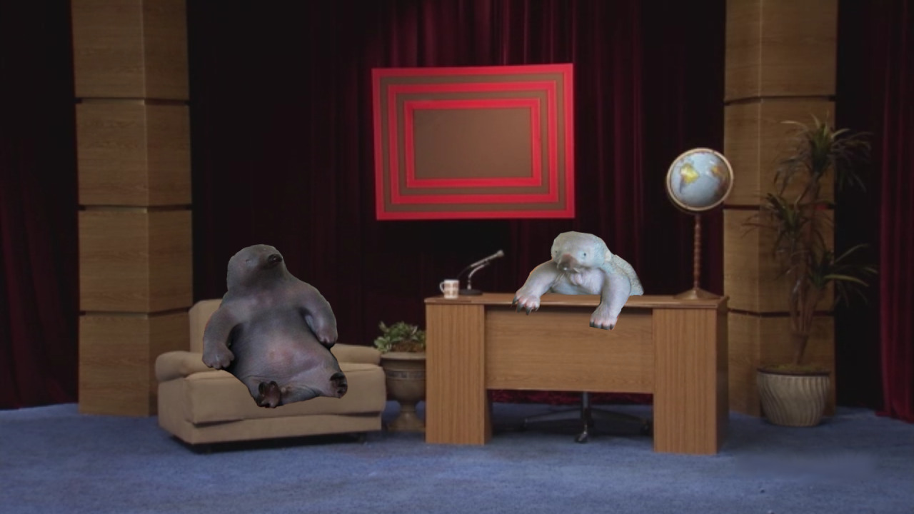 rayschvantz: beetledrink:  has to explain to someone that last night i was laughing