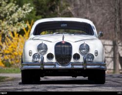 carsontheroad:  Jaguar 1955-1957selected by CarsOnTheRoad 