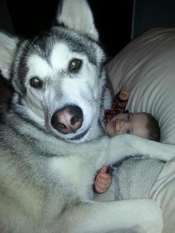 Worldofthecutestcuties:  The Exact Moment My Pup And Son Became Best Friends