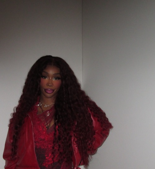 SZA X MUA @paintedbyesthr✨
