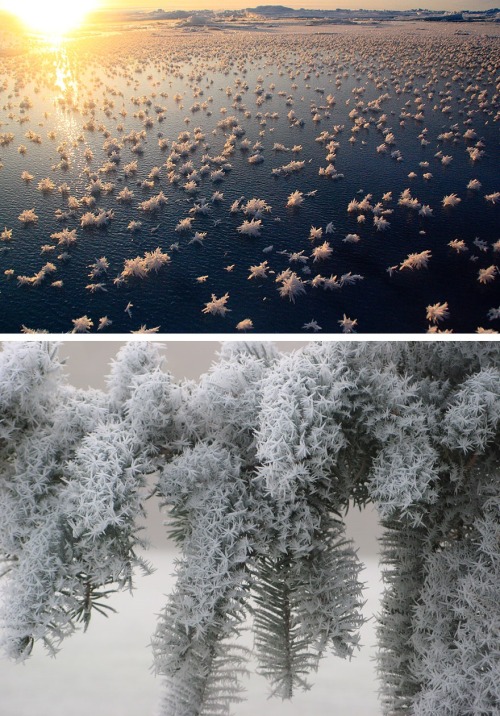 catastrophic-cuttlefish: 1 - Baikal ice emerald 2 - Frozen lighthouse on Lake Michigan sho