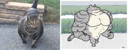 k-eke:  Buff cat. On it’s way to get pet.