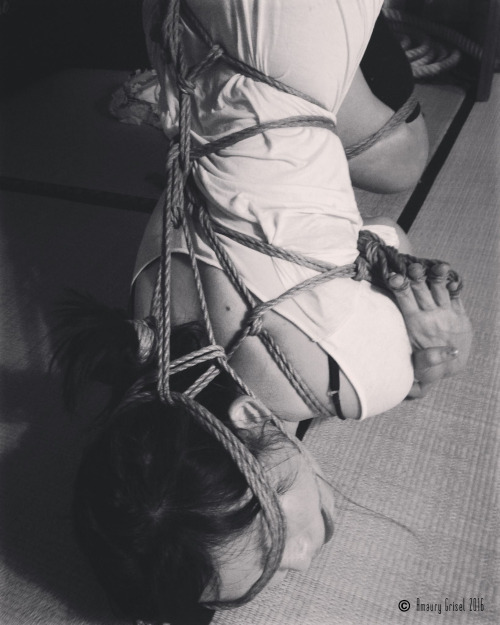 amaury-grisel-shibari:  Avec Chuo à la place des cordes Shibari & photography : Amaury Grisel