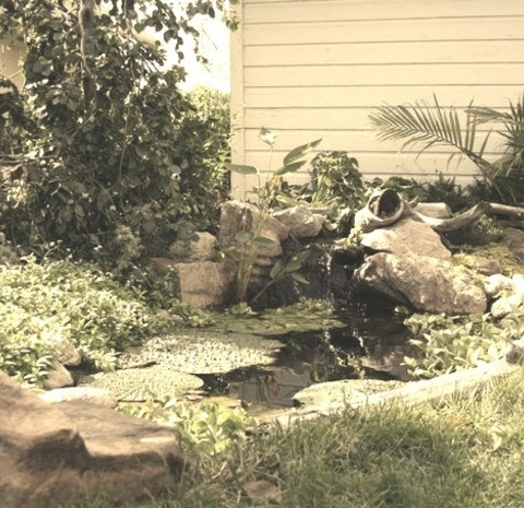 Fountain In Omaha Photo Of A Large Rustic Water Fountain Landscape.