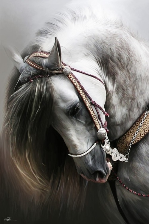 maurocuervo:  thestylishgypsy:  Beautiful portrait of a Spanish horse by Paul Miners.   this picture is amazing 