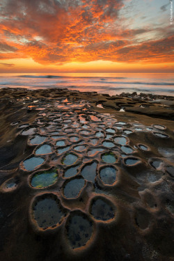 theencompassingworld:  about-usa:   La Jolla