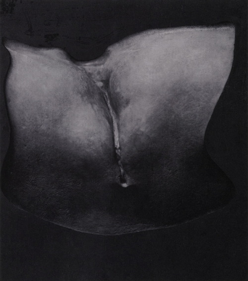 XXX rudygodinez: Marcel Duchamp, Feuille de Vigne photo