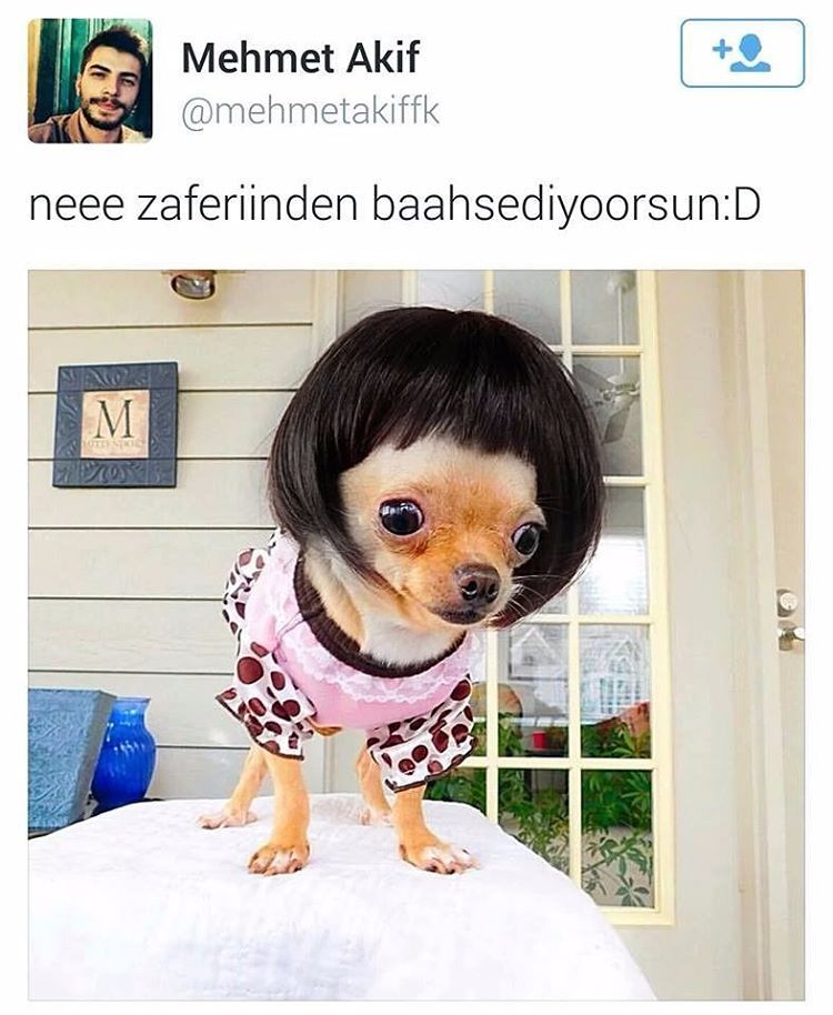 neee zaferiinden baahsediyoorsun