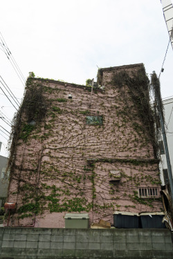 ninetail-fox:  a house ,Shibuya